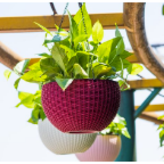 Flower pot Flower pot